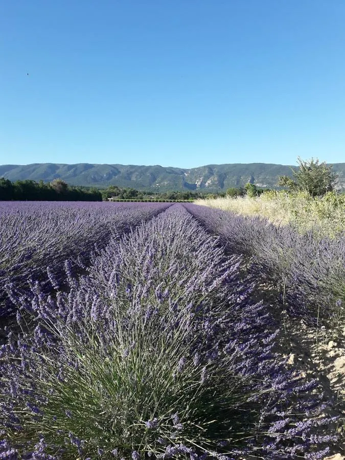 Homestay Gite Le Bagnol Un Coin De Paradis Maubec