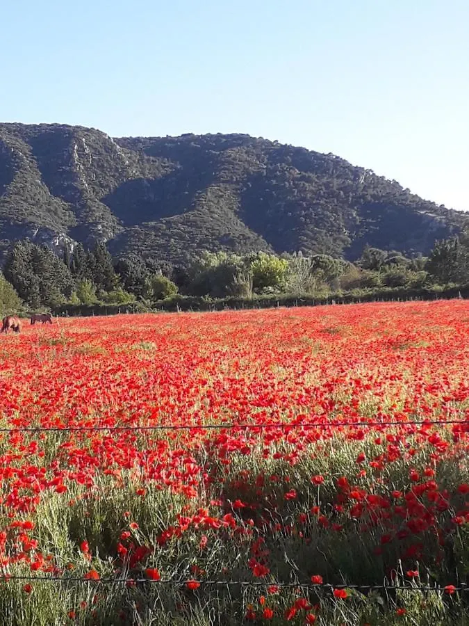 Gite Le Bagnol Un Coin De Paradis Maubec  Maubec (Vaucluse)